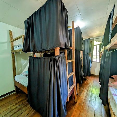 Screaming Gecko Hostel Бусуанґа Екстер'єр фото