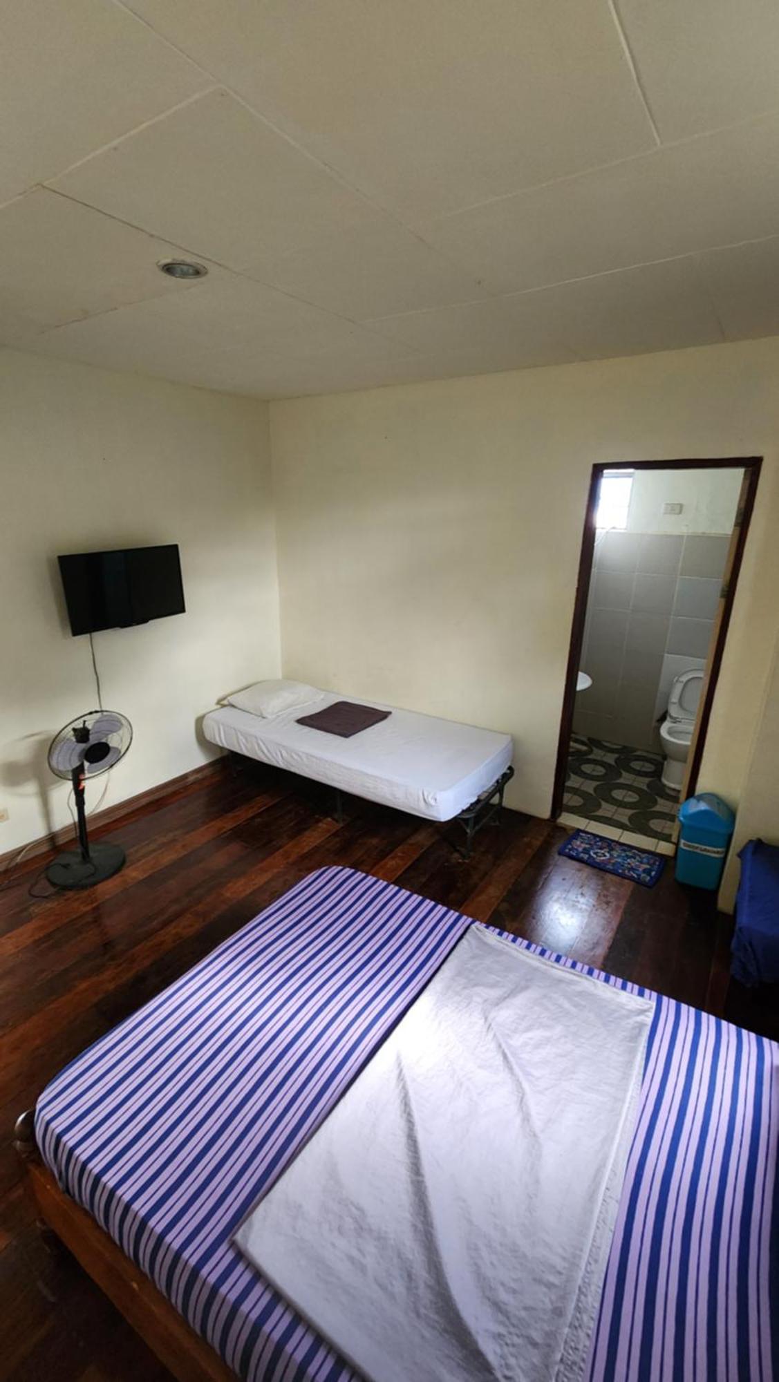 Screaming Gecko Hostel Бусуанґа Екстер'єр фото