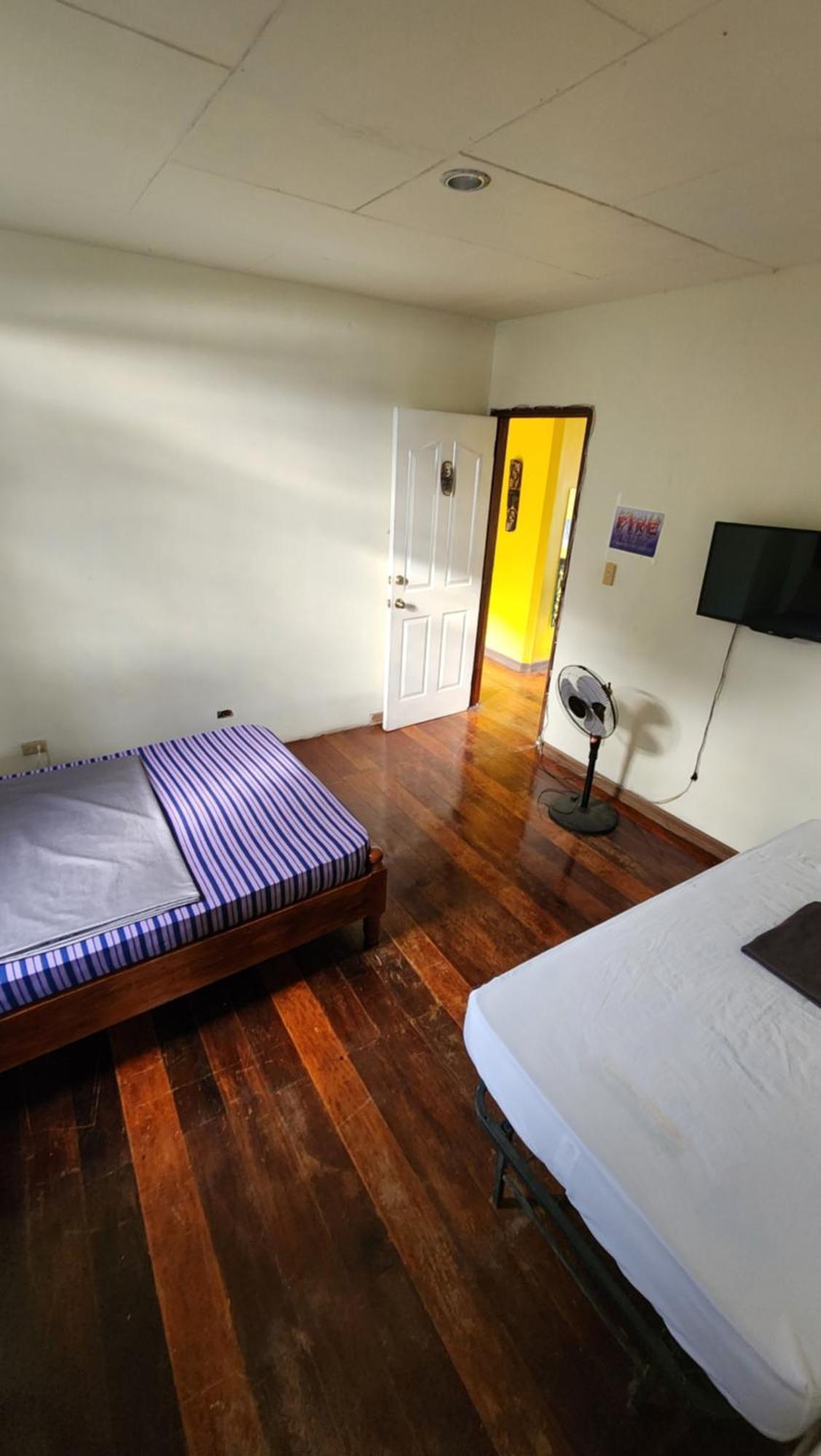 Screaming Gecko Hostel Бусуанґа Екстер'єр фото