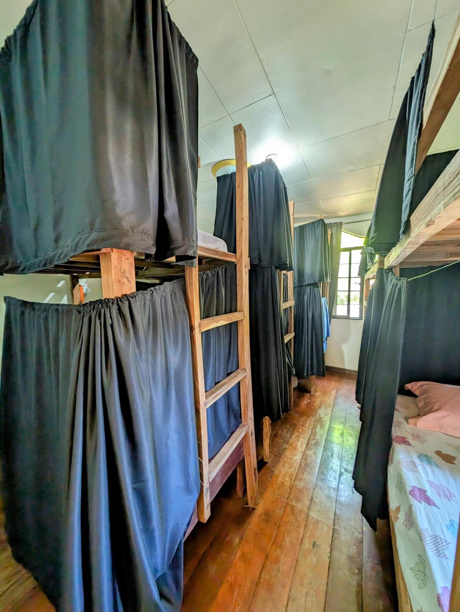 Screaming Gecko Hostel Бусуанґа Екстер'єр фото