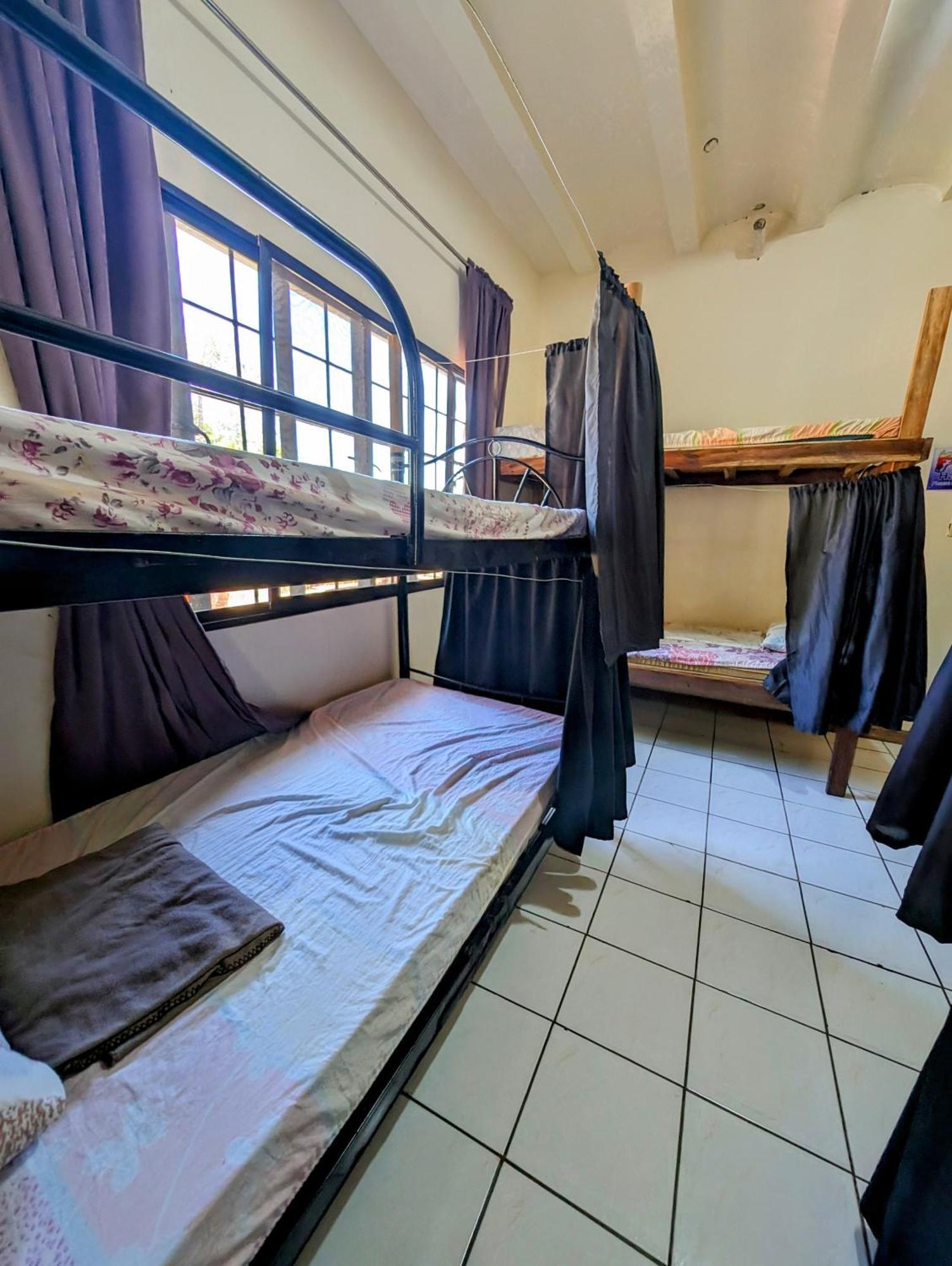 Screaming Gecko Hostel Бусуанґа Екстер'єр фото