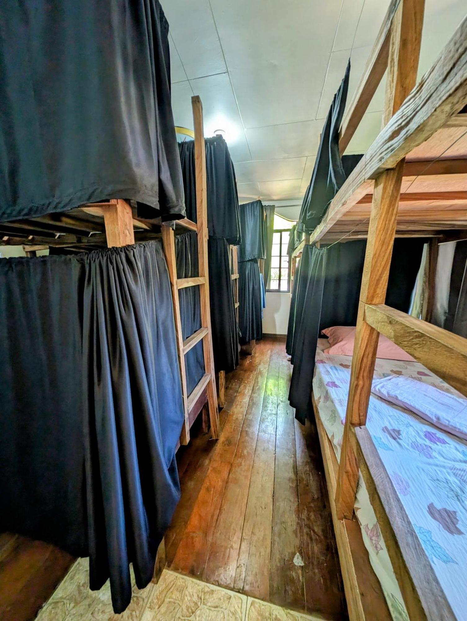 Screaming Gecko Hostel Бусуанґа Екстер'єр фото