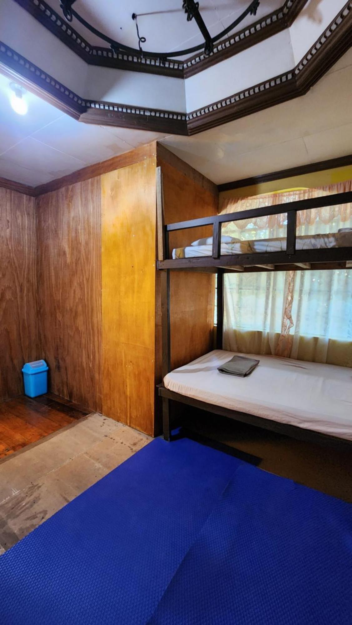 Screaming Gecko Hostel Бусуанґа Екстер'єр фото